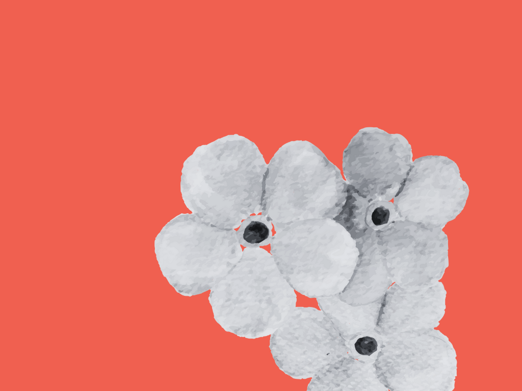 Planting Memories with Forget Me Not Seeds